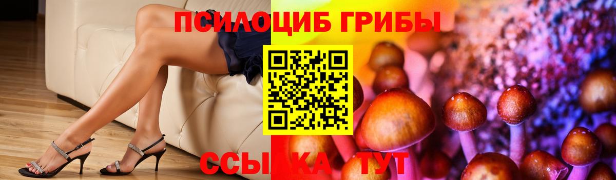 Галлюциногенные грибы MAGIC MUSHROOMS Сыктывкар
